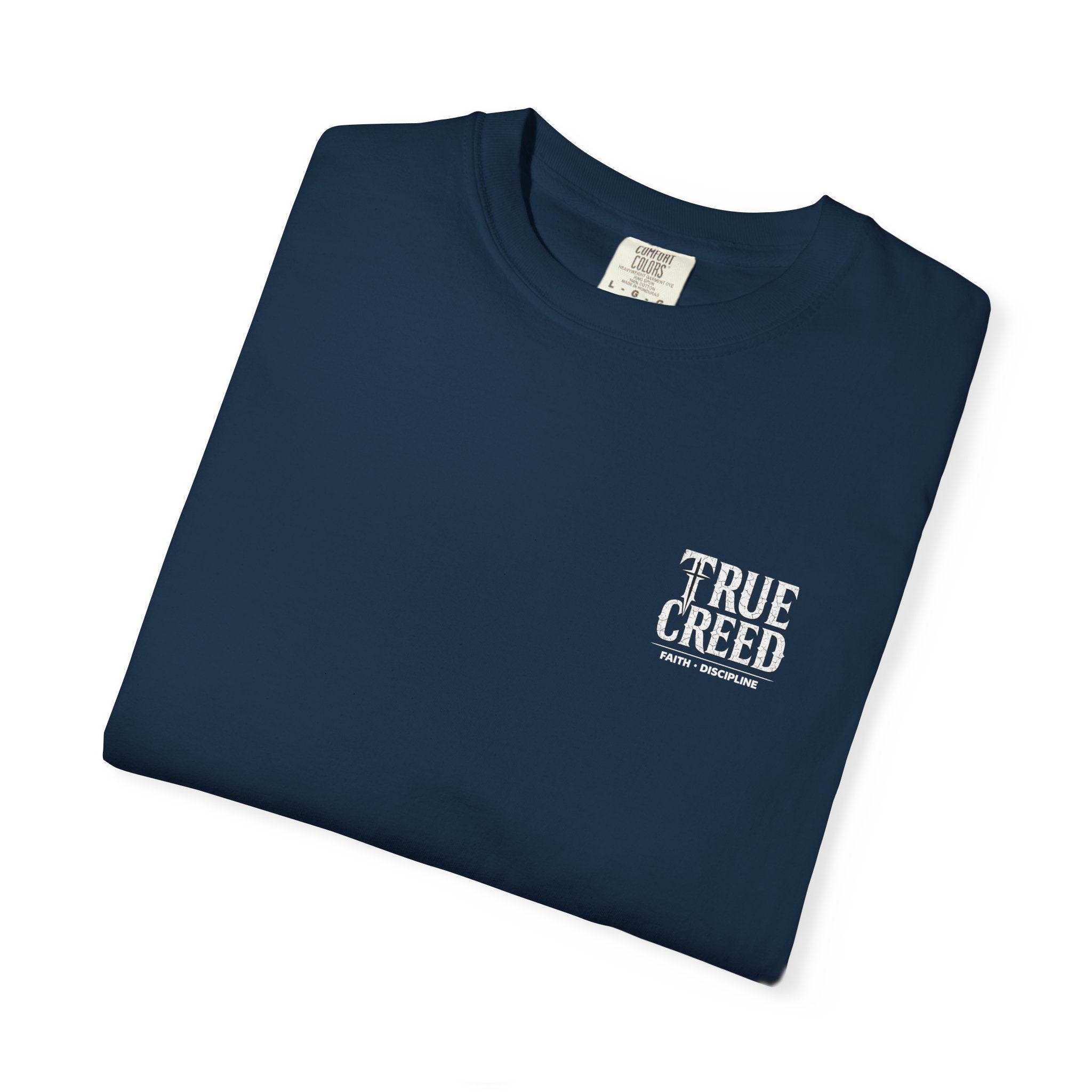 Christian Streetwear Shirt Self Control Lion Tee | Proverbs 25:28 |
