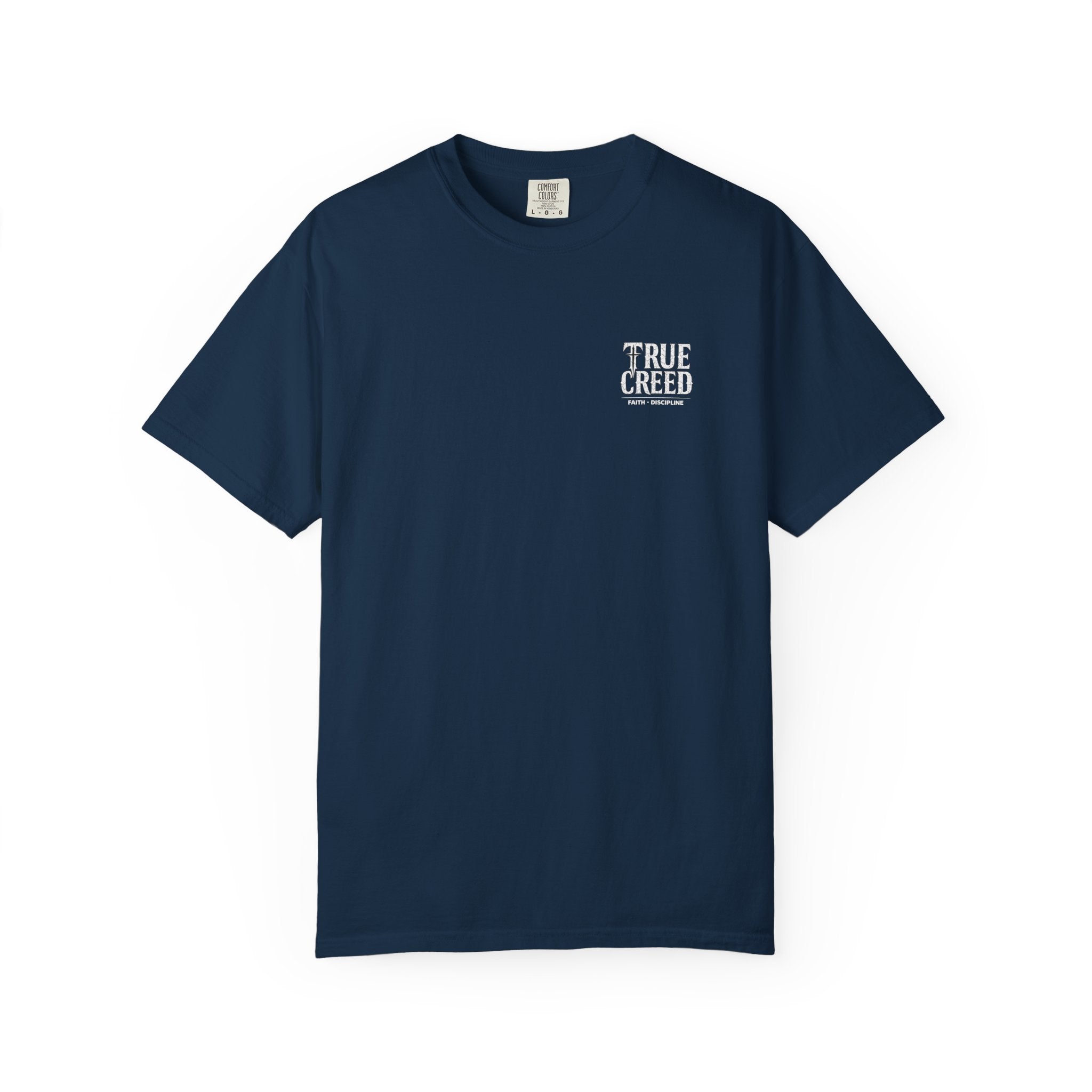 Christian Streetwear Shirt Self Control Lion Tee | Proverbs 25:28 |