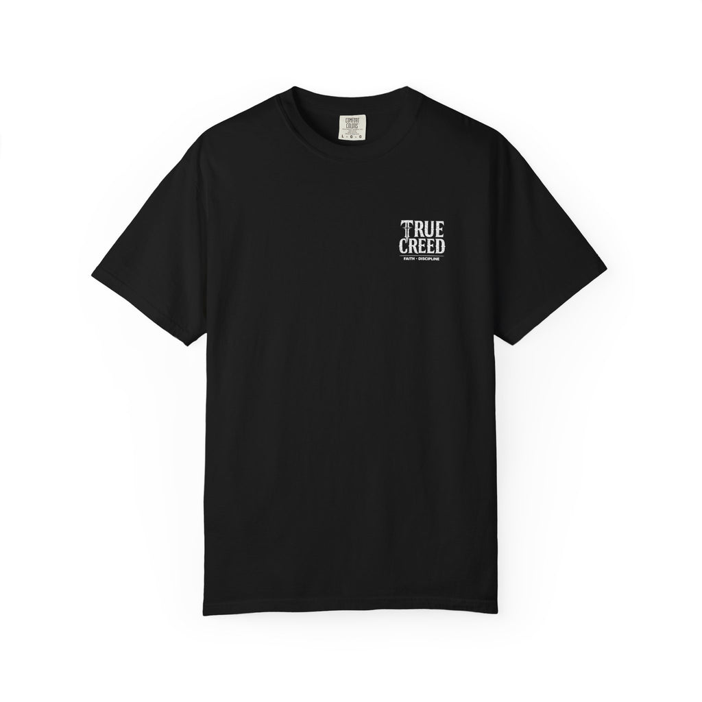 Christian Streetwear Shirt Self Control Lion Tee | Proverbs 25:28 |