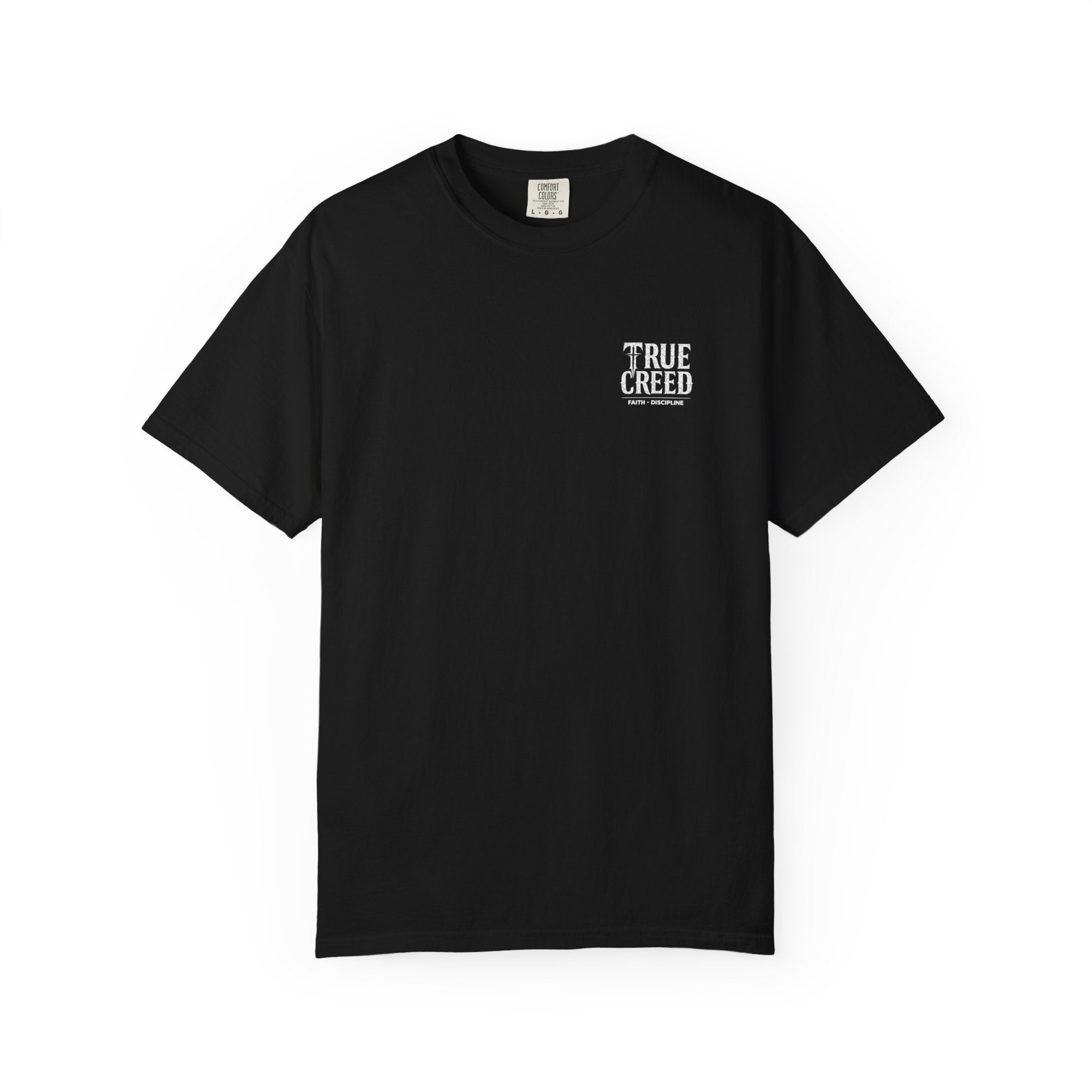 Christian Streetwear Shirt Self Control Lion Tee | Proverbs 25:28 |