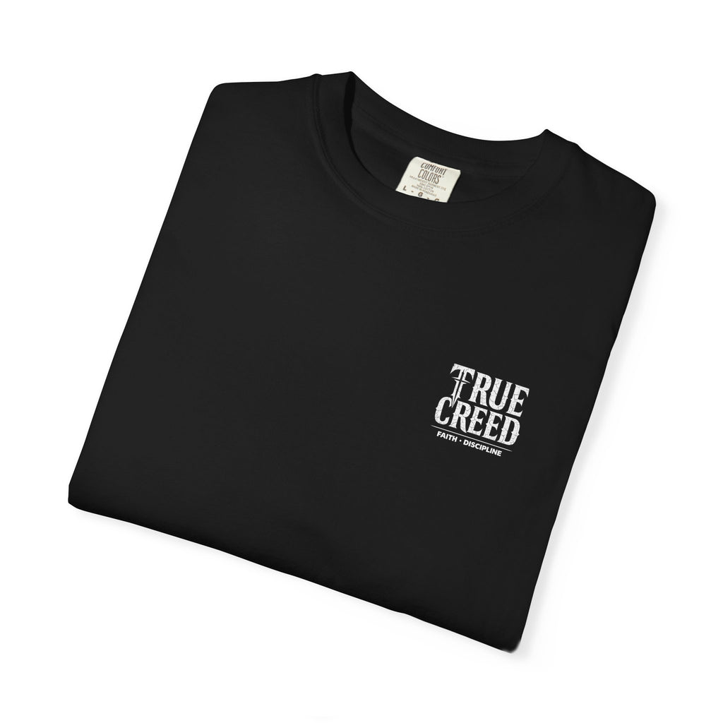 Christian Streetwear Shirt Self Control Lion Tee | Proverbs 25:28 |