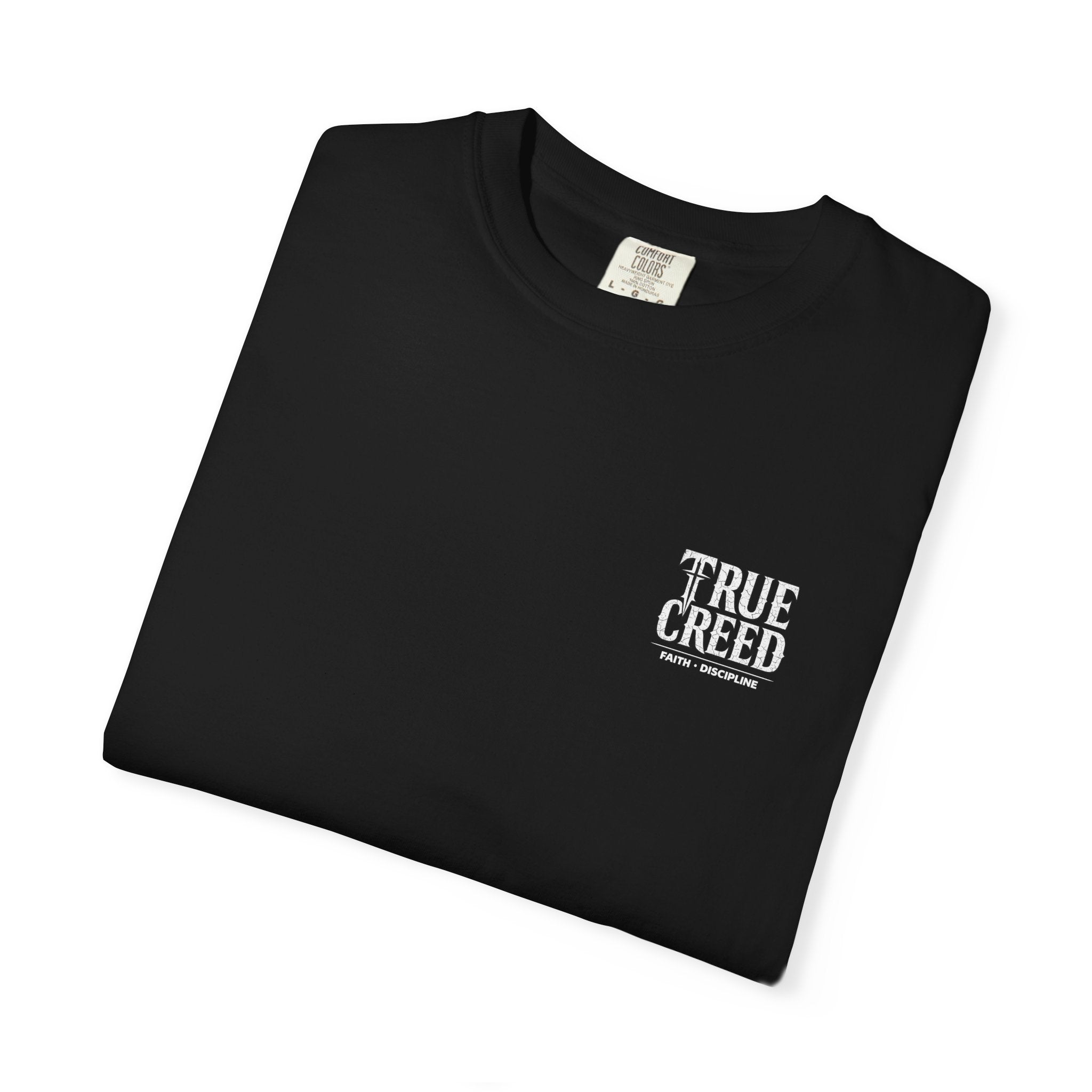 Christian Streetwear Shirt Self Control Lion Tee | Proverbs 25:28 |